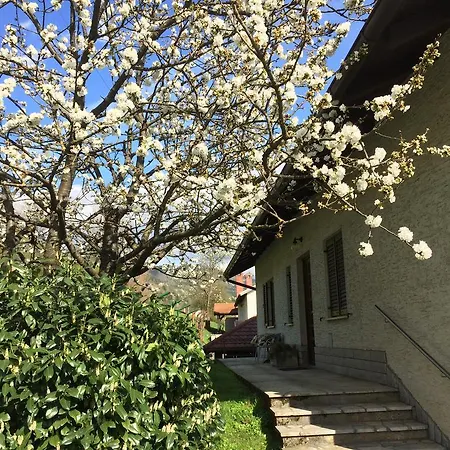 Homestay Antonija Ilirska Bistrica