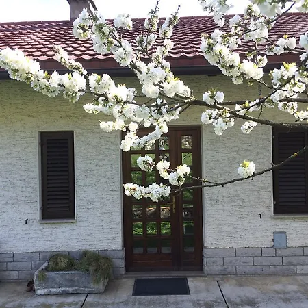 Antonija Homestay